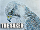 The Saker