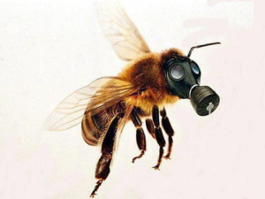 Bayer AG Makes Bee Contraceptives