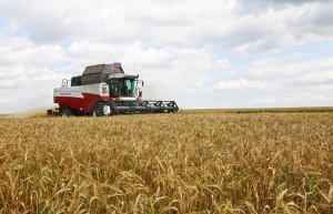 Wegen der Sanktionen: Russland ist jetzt weltgrößter Getreideexporteur