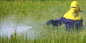 Corruption in Unaccountable EU Bureaucracy Cancels Pesticide Bans