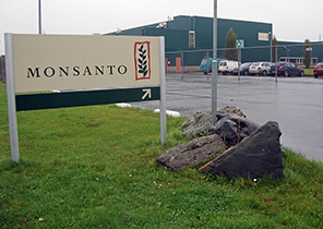Monsanto/Bayer Moving to Genome Edit Fruits and More