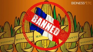 Major No to GMO by Majority of EU States