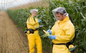 We’re the ‘Weeds’ for Monsanto Roundup Weed Killer