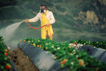 Killing Us Softly—Glyphosate Herbicide or Genocide?
